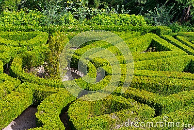 Geometric pattern of green hedge flowerbed Stock Photo