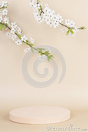 Geometric round podium platform stand for product presentation and spring blooming tree branch with white flowers on Stock Photo