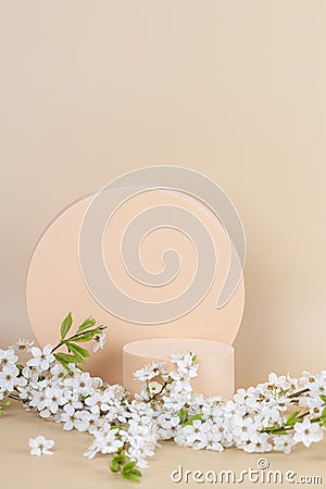 Geometric round podium platform stand for product presentation and spring blooming tree branch with white flowers on Stock Photo