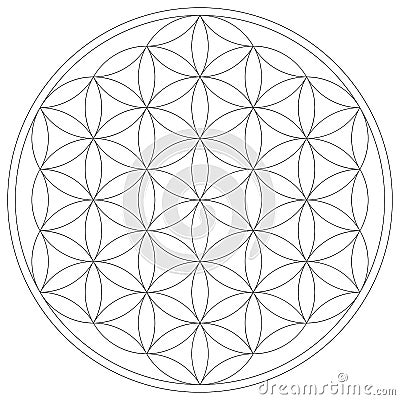 Sacred Geometry Flower of Life vector illustration Vector Illustration