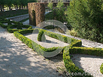 Geometrically planted box hedge in the courtyard garden at Würzburg Residence Editorial Stock Photo