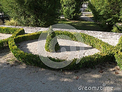 Geometrically planted box hedge in the courtyard garden of the Würzburg Residence Editorial Stock Photo