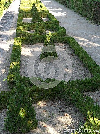 Geometrically planted box hedge in the courtyard garden of the Würzburg Residence Editorial Stock Photo