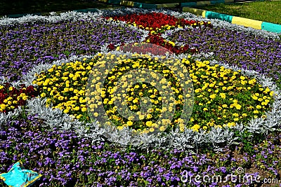 The geometry of the city flower beds Stock Photo