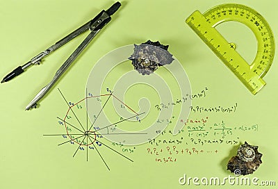 Geometry of a shell with compass Stock Photo