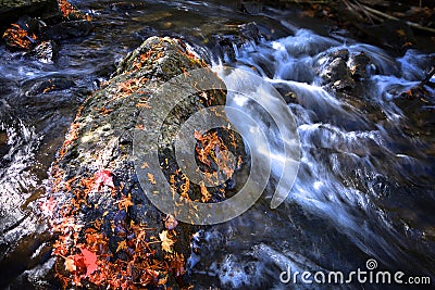 A stone in the river rapid in Limehouse Conservation Area Stock Photo