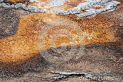 Geothermal feature at old faithful area at Yellowstone National Park (USA Stock Photo