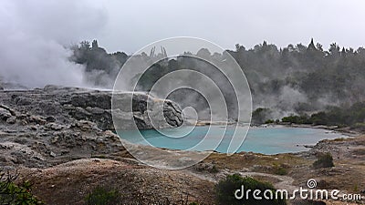 Geothermal hot pools in Te Whakarewarewa Valley Stock Photo