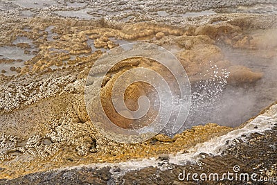 Geothermical features in Upper Old Faithful Basin Stock Photo