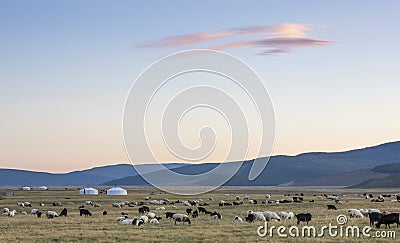 Ger in a landscape at sunrise Stock Photo