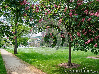 Gera city park in spring Stock Photo