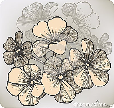 Geranium flower, hand-drawing. Vector illustration Vector Illustration