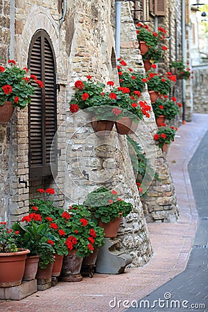 Geranium flowers in streets of Assisi, Umbria Stock Photo