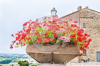 Geraniums pot and countryside of Romagna in Italy Stock Photo