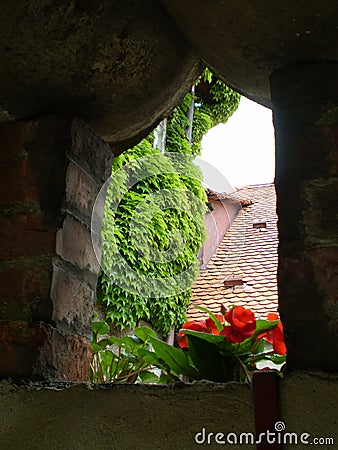 Geraniums in a stone window, Croatia Stock Photo