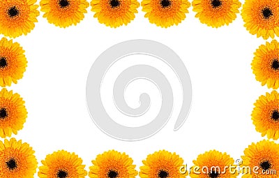 Gerber Daisy Border Royalty Free Stock Photo - Image: 3282165