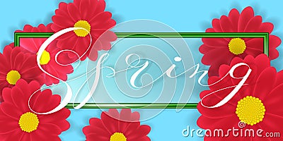 Gerbera or Daisy Flowers on white Background and Spring word Lettering in green border. Vector Illustration Vector Illustration