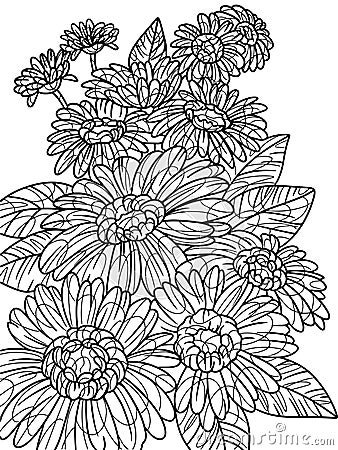 Gerbera fresh flower bouquet, mixed gerbera flowers. Coloring book antistress for children and adults. Stock Photo