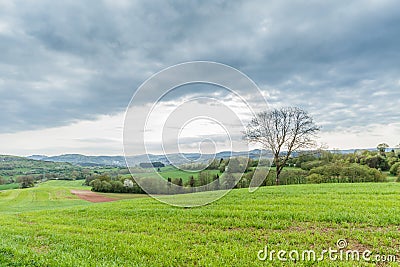 German Eifel landscape in spring with gentle slopes and budding green of trees Stock Photo