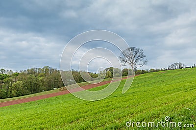 German Eifel landscape in spring with gentle slopes and budding green of trees and shrubs Stock Photo