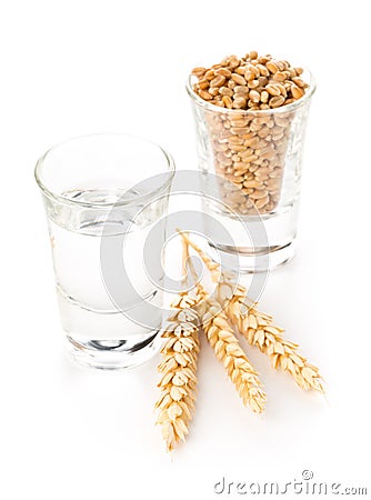 German hard liquor Korn Schnapps in shot glass with wheat grains Stock Photo