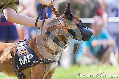 German military police dog Editorial Stock Photo