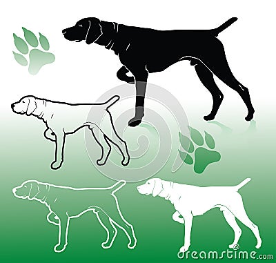German pointer dog Vector Illustration