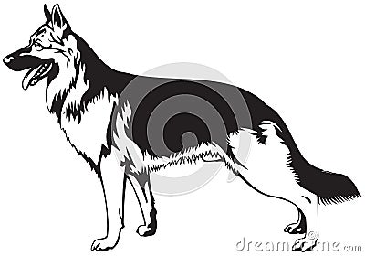 German Shepherd dog Vector Illustration