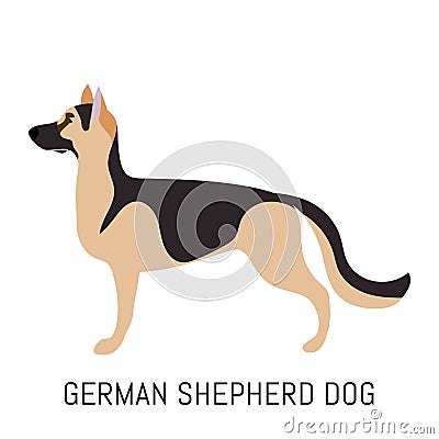 German shepherd dog. Dog, flat icon. Isolated on white background. Stock Photo