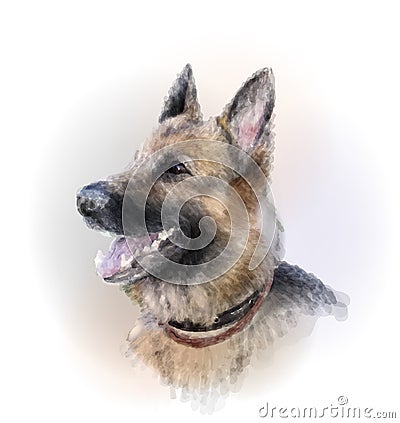 German shepherd dog Vector Illustration