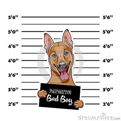 German Shepherd dog. Prisoner, convict. Dog criminal. Police placard, Police mugshot, lineup. Arrest photo. Mugshot photo. Vector. Vector Illustration