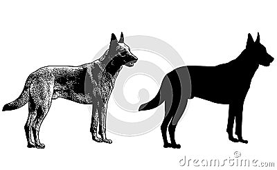 German shepherd dog silhouette and sketch illustration Vector Illustration