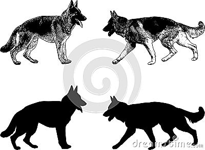 German shepherd dog silhouette and sketch Vector Illustration