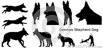 German Shepherd Dogs Vector Illustration