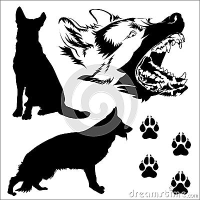 German Shepherd Dogs Vector Illustration