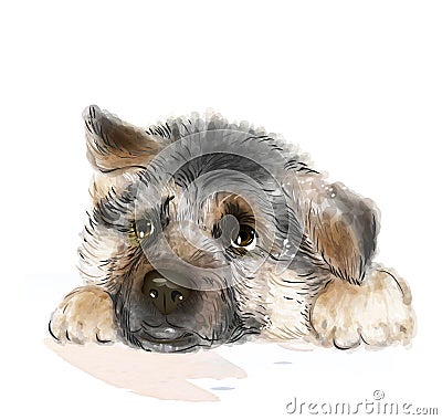 German shepherd puppy Vector Illustration