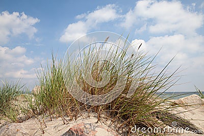 Germany, Baltic Sea, beach dune and marram g Stock Photo