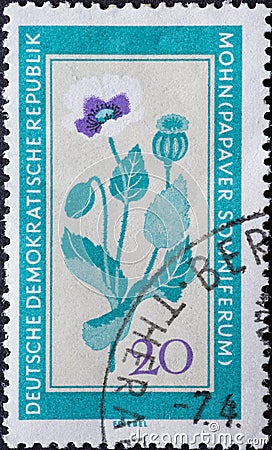 GERMANY, DDR - CIRCA 1960 : a postage stamp from Germany, GDR showing a flowering native medicinal plant the opium poppy, Papaver Editorial Stock Photo