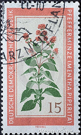 GERMANY, DDR - CIRCA 1960 : a postage stamp from Germany, GDR showing a flowering native medicinal plant the peppermint, Mentha p Editorial Stock Photo