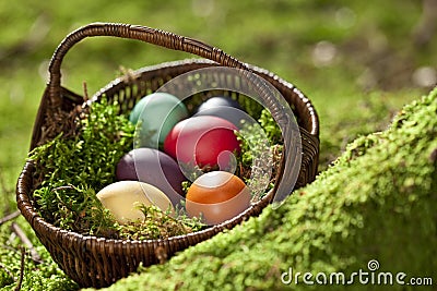 Germany, Lower Bavaria, Variety of Easter eggs in basket on moss Stock Photo