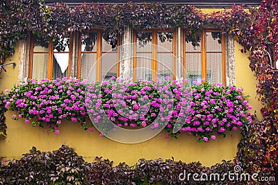 Germany, Rothenburg, fairy tale town, home, windowsill Editorial Stock Photo