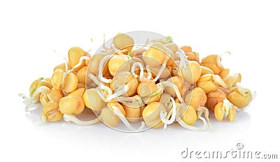 Fresh Germinated chickpeas on white background Stock Photo