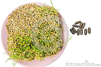 Germinated grains and medicinal capsules Stock Photo