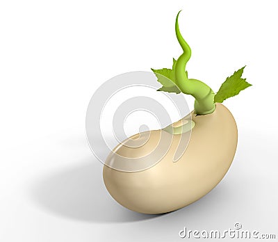 Germinating Bean Close Up Perspective Stock Photo