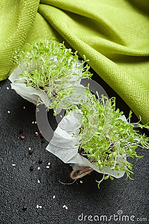 Germs of micro-green, grown at home for food Stock Photo