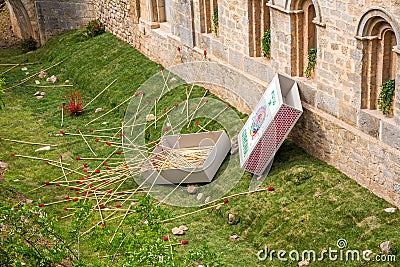 GeronaÂ´s flower festival instalation Editorial Stock Photo