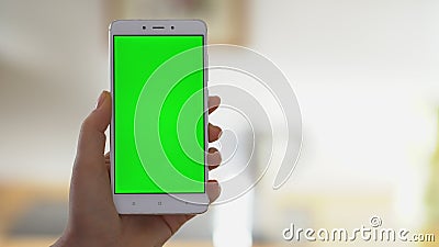 Geschäftsfrau mithilfe des Smartphonebetrachtungs-Grünschirmes auf Handygrasenfarbenreinheitsschlüssel Genuss online beobachten stock footage Geschäftsfrau mithilfe des Smartphonebetrachtungs-Grünschirmes auf Handygrasenfarbenreinheitsschlüssel Genuss online beobachten stock footage