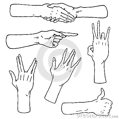 Gestures arms stop, palm, thumbs up, finger pointer, ok, like and pray or handshake, fist and peace or rock n roll Vector Illustration