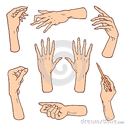 Gestures arms stop, palm, thumbs up, finger pointer, ok, like and pray or handshake, fist and peace or rock n roll Vector Illustration