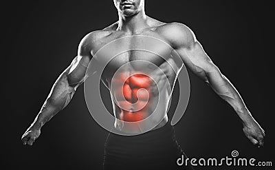 Specialization for abdominal muscles in bodybuilding sport Stock Photo